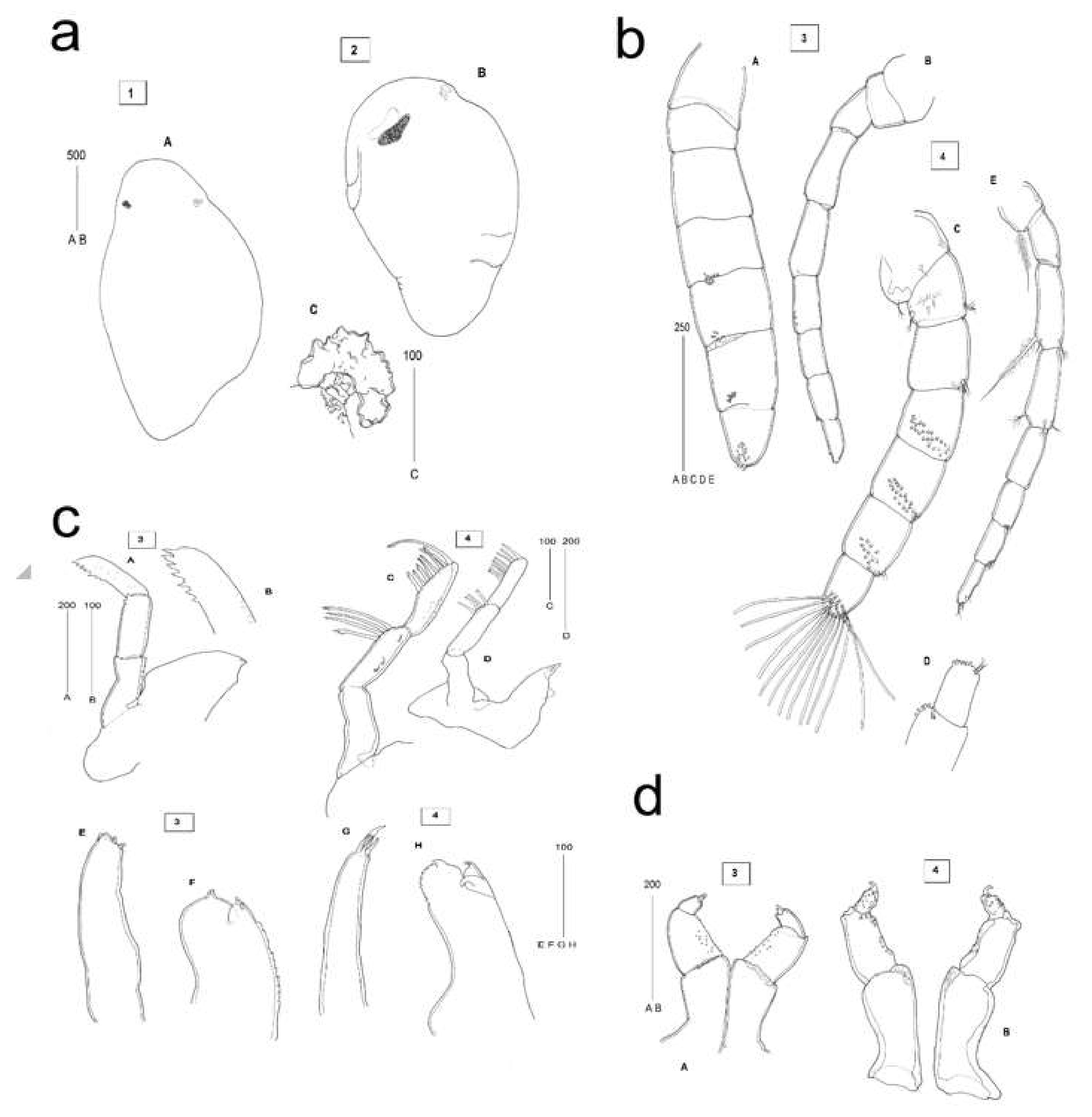 Pathogens 09 00230 g004