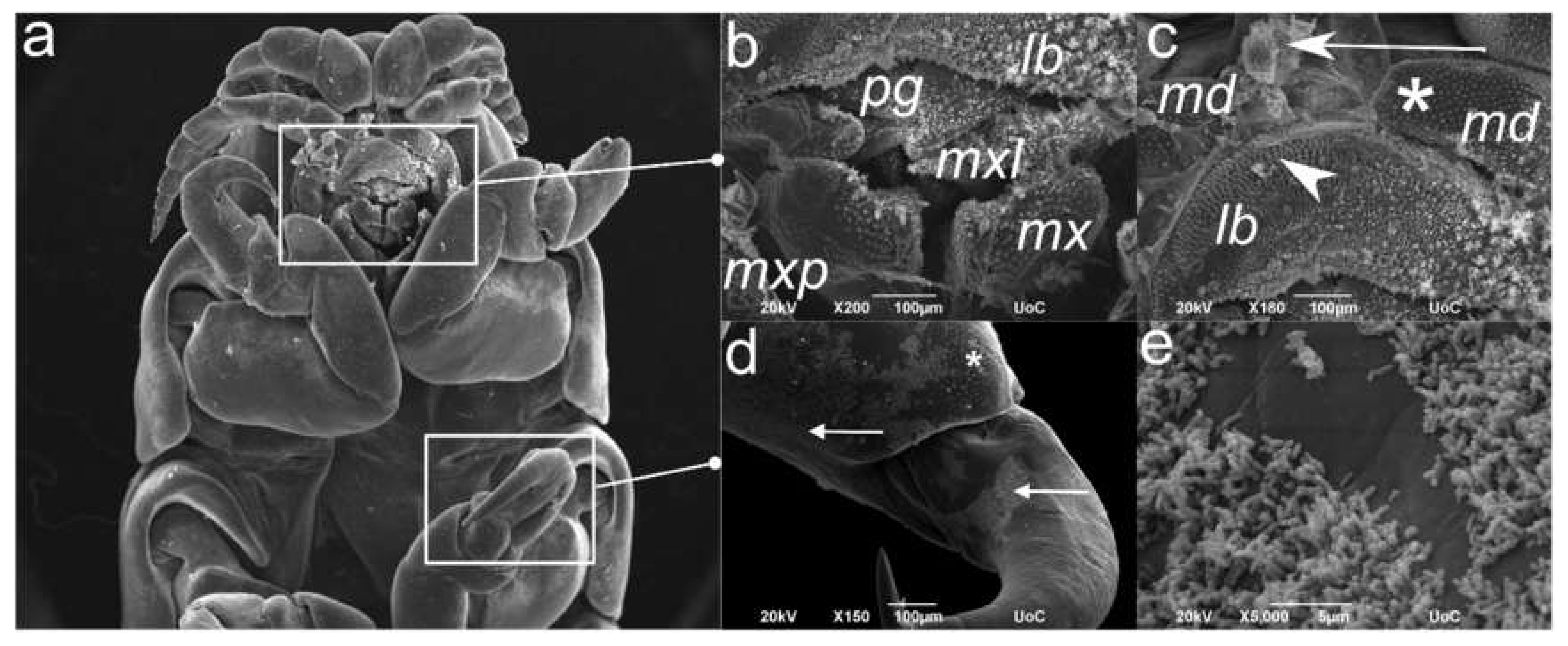 Pathogens 09 00230 g005