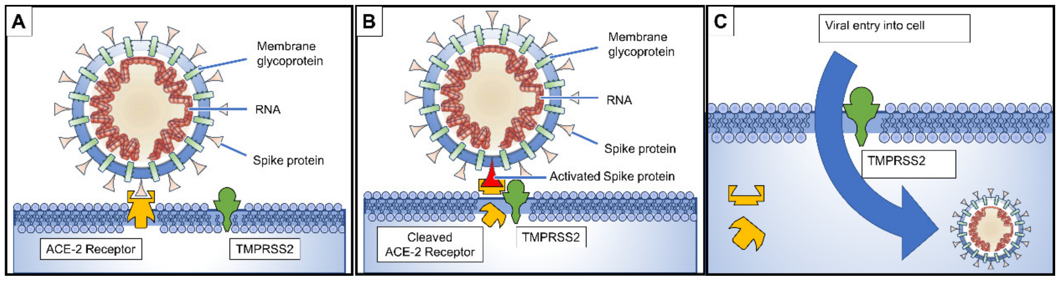 Pathogens 09 00231 g003