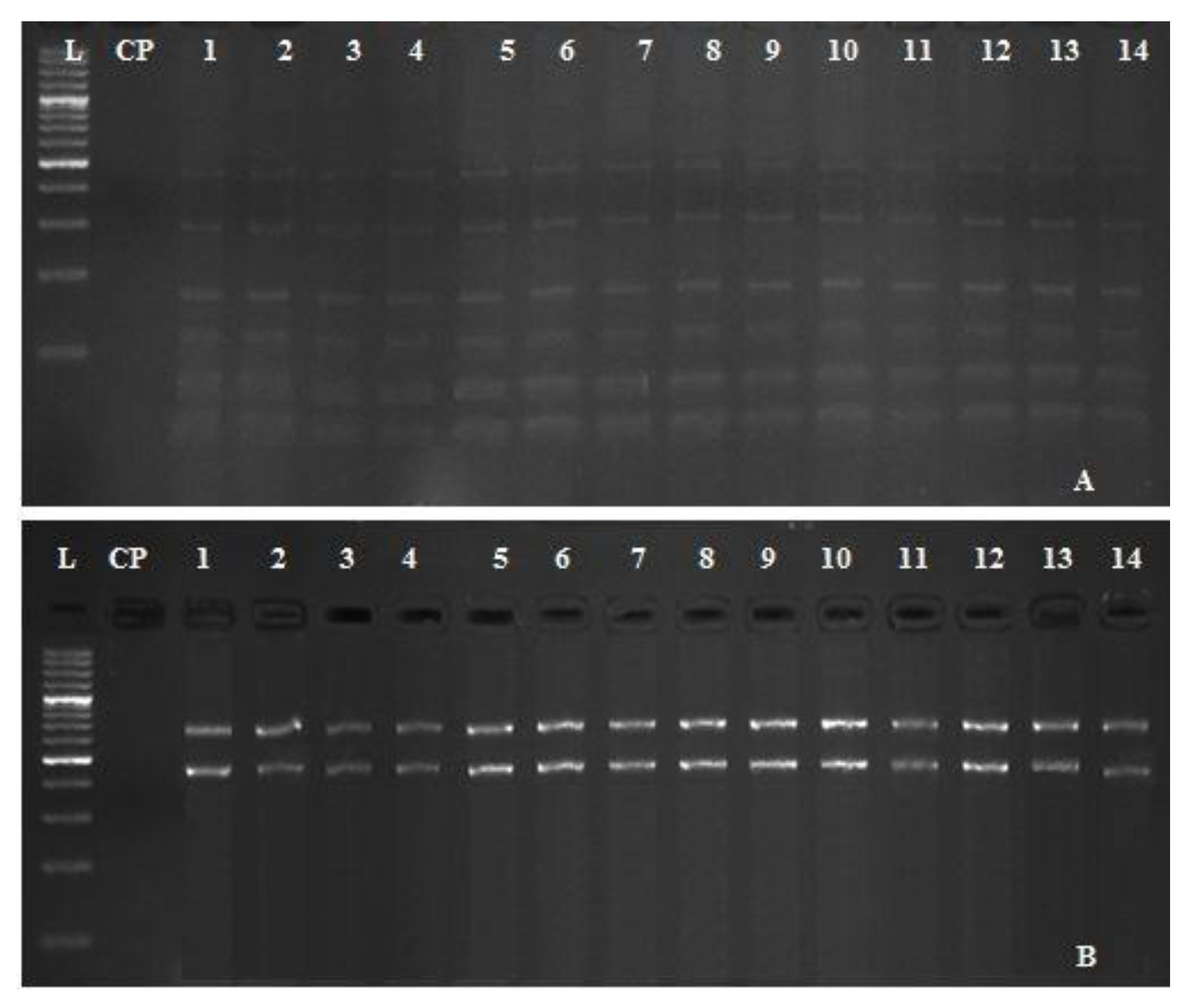 Pathogens 09 00238 g005