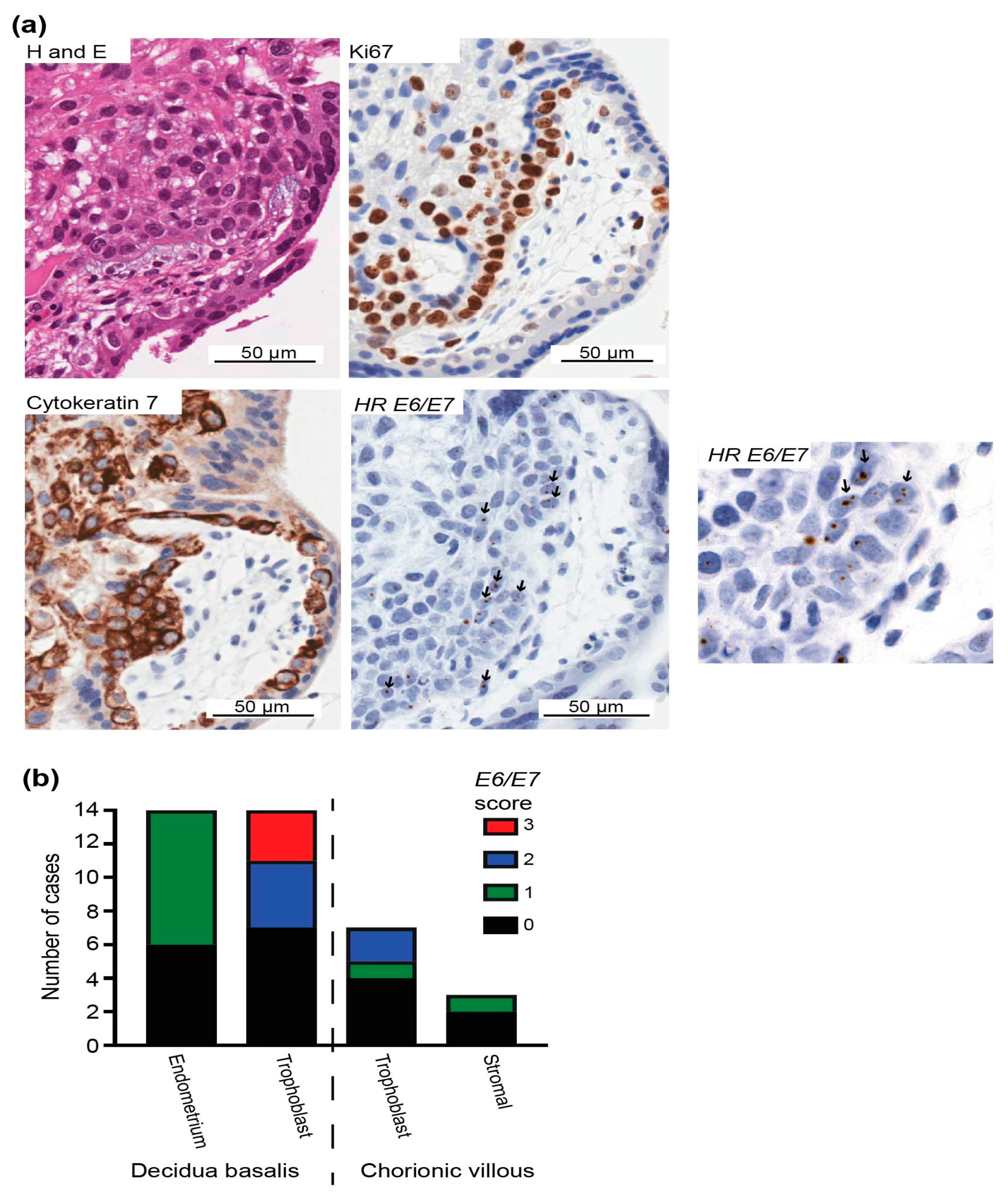 Pathogens 09 00239 g005