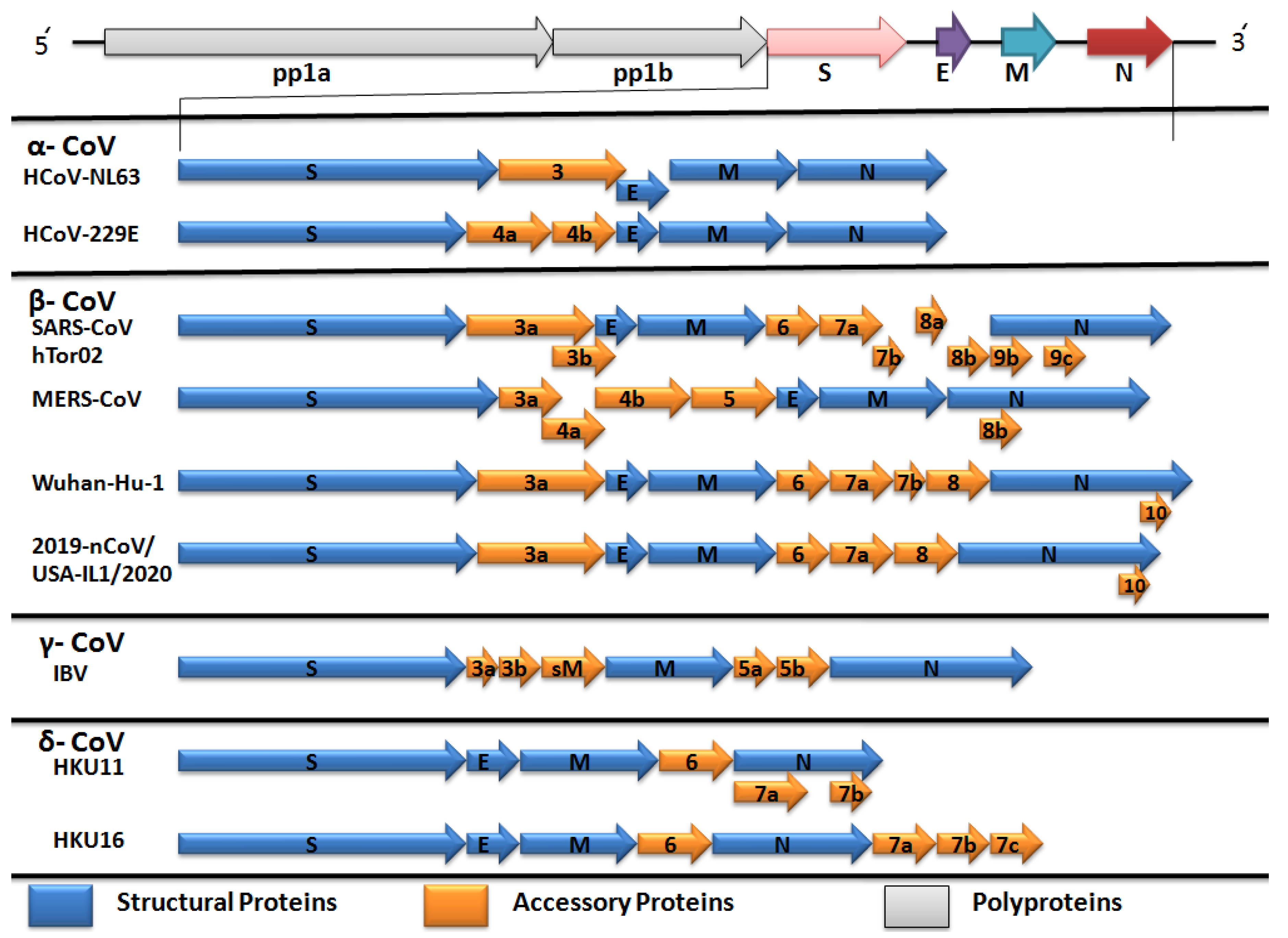 Pathogens 09 00240 g003