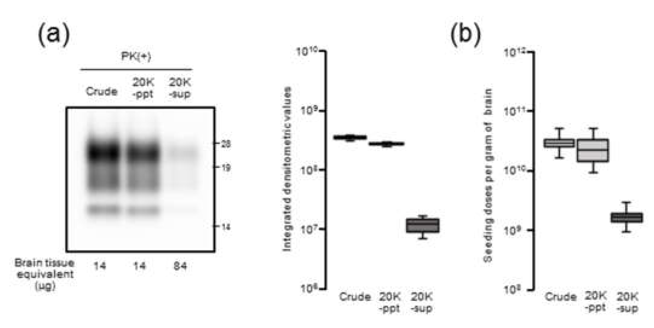 Pathogens 09 00241 g003 Pathogens 09 00241 g003