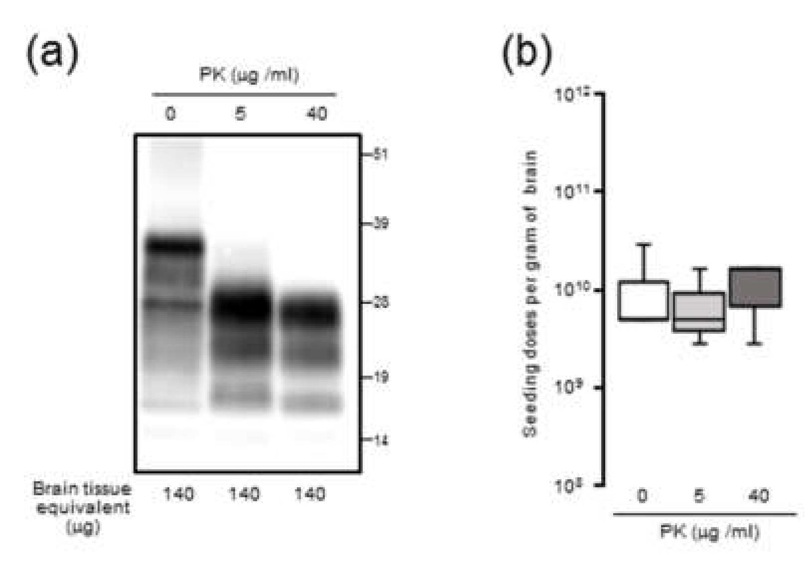 Pathogens 09 00241 g004 Pathogens 09 00241 g004