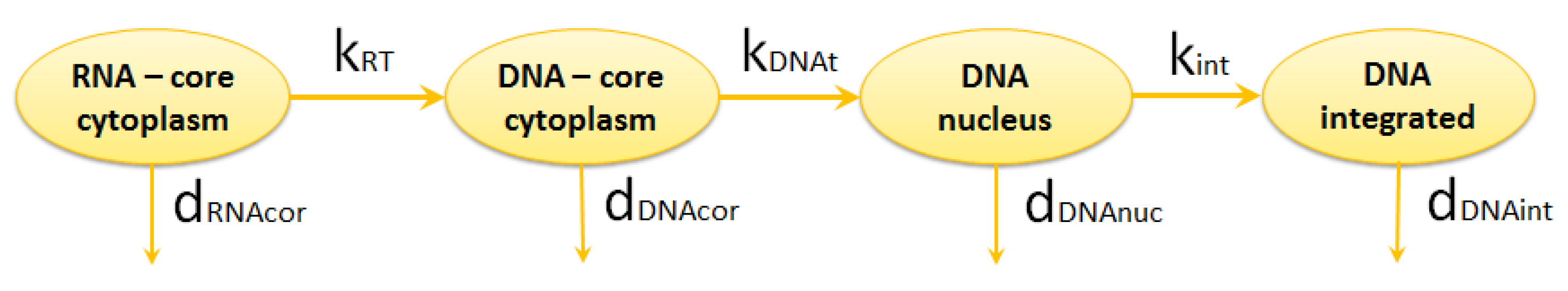 Pathogens 09 00255 g003