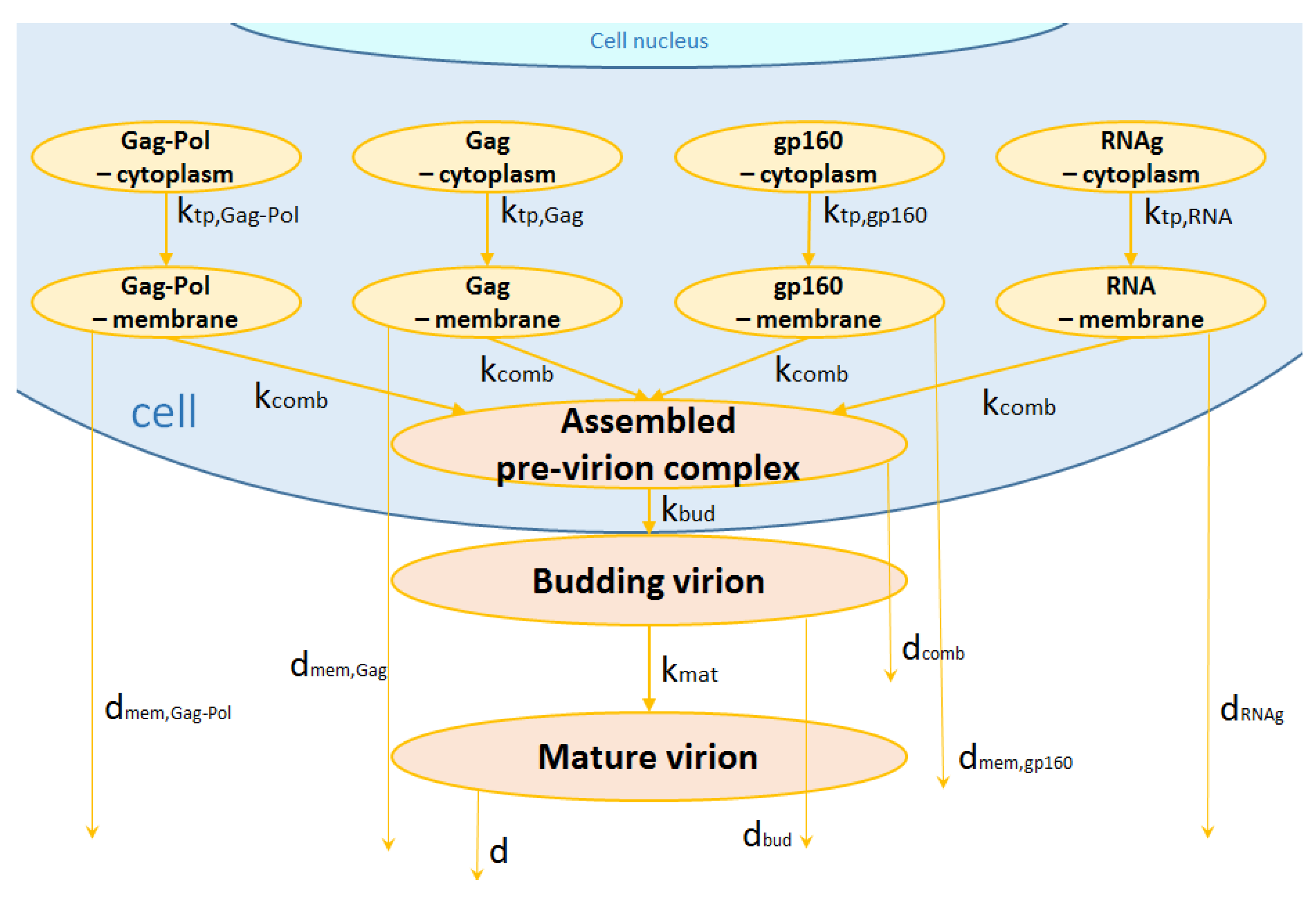 Pathogens 09 00255 g005