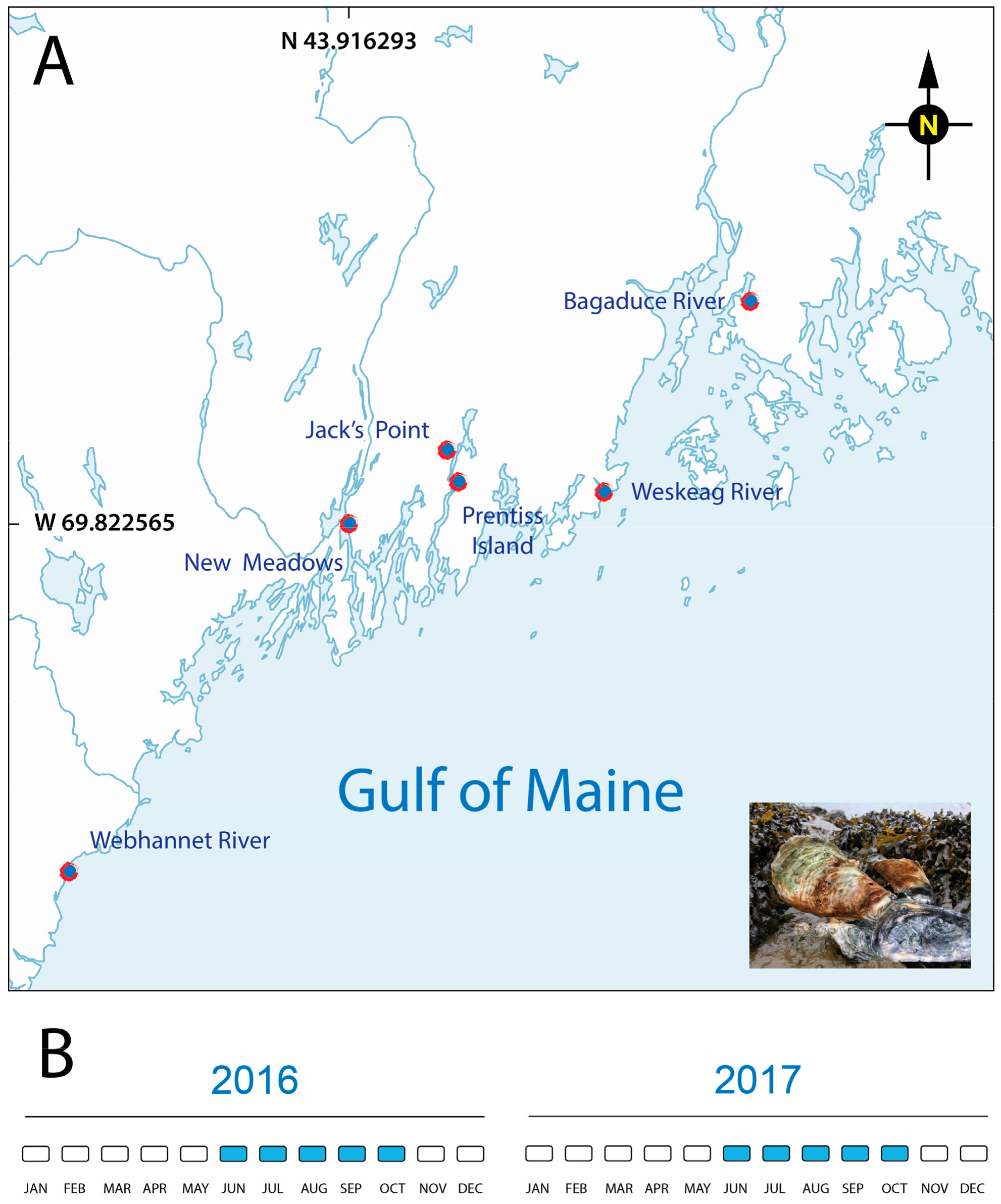 Pathogens 09 00256 g001