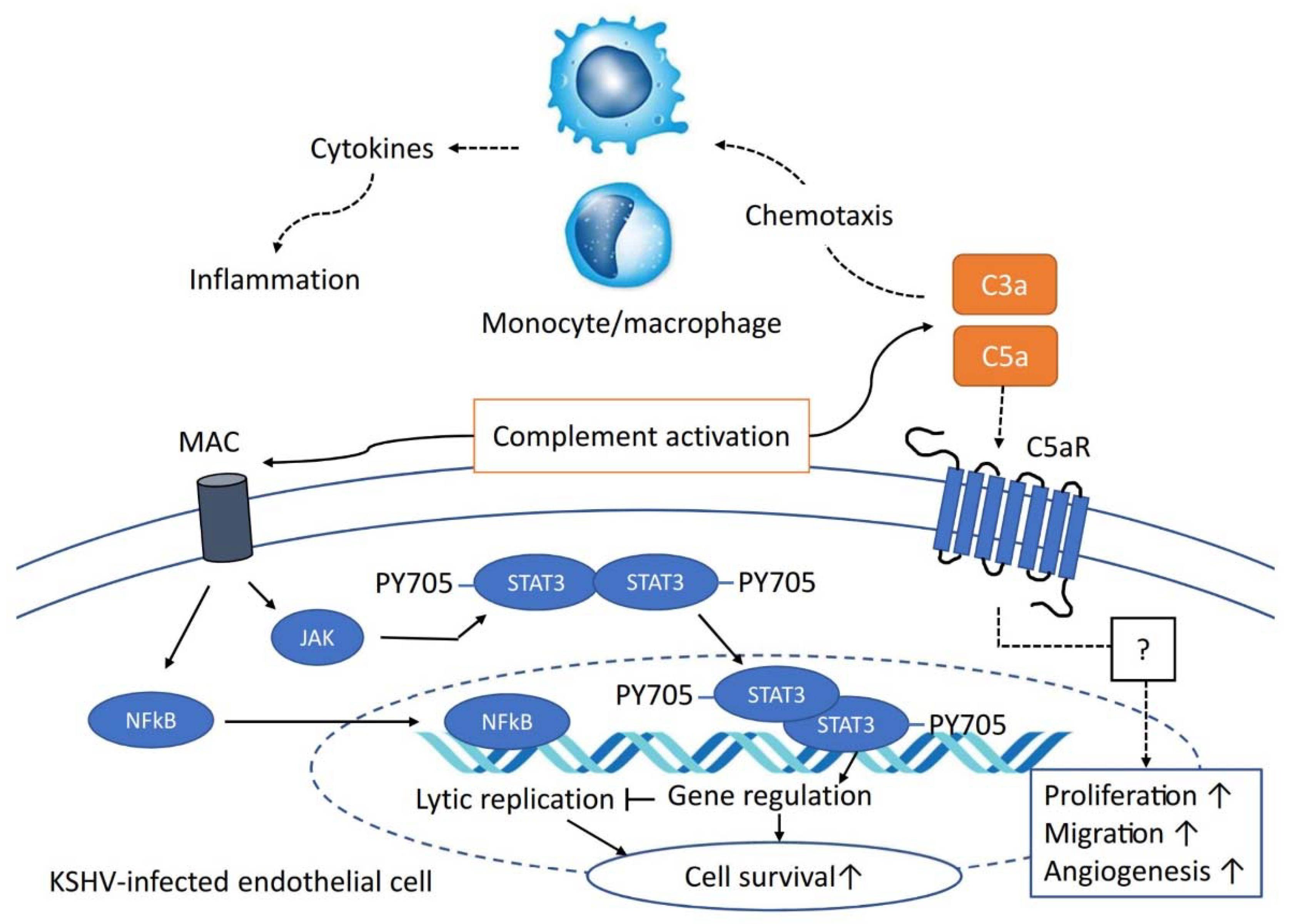 Pathogens 09 00260 g003