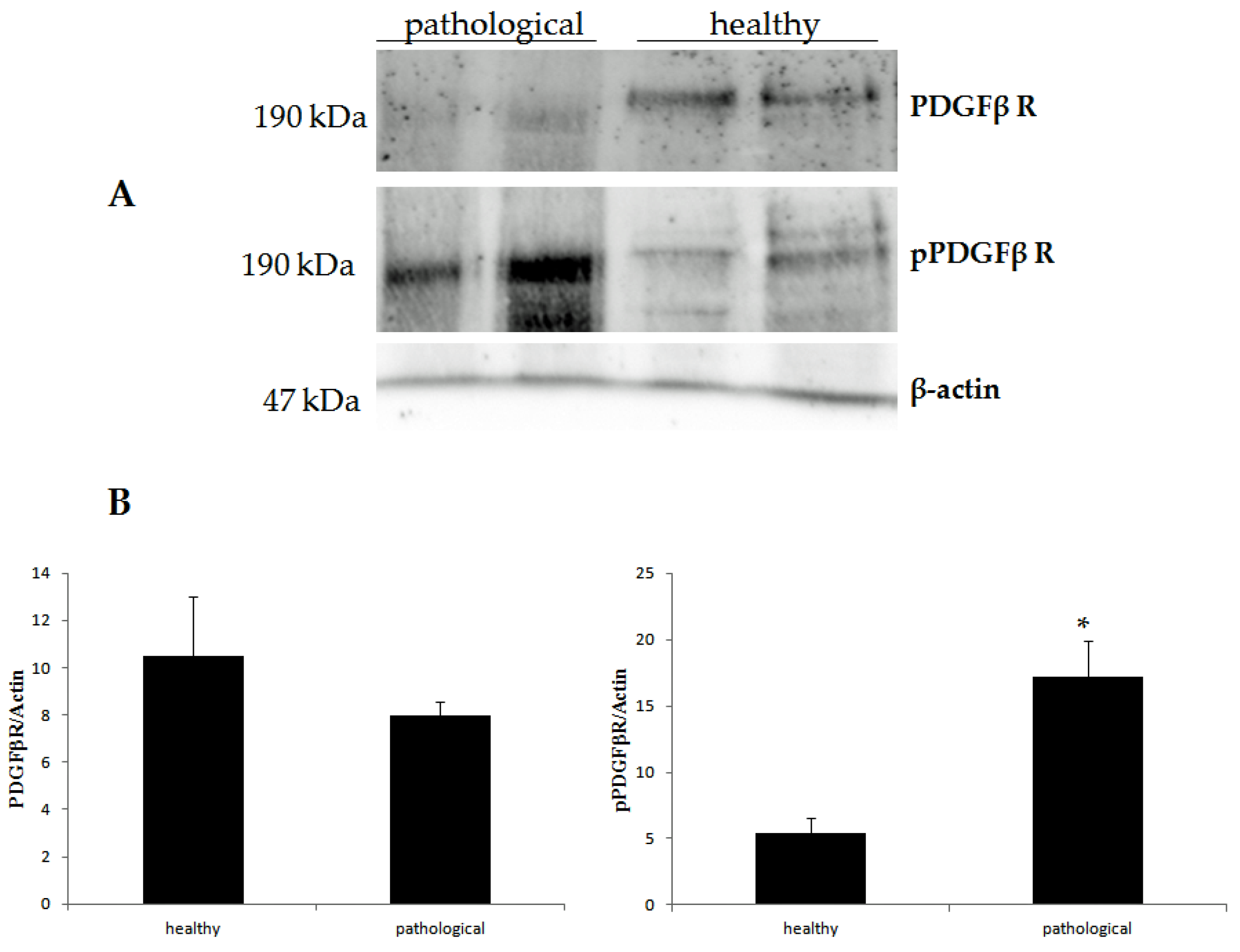 Pathogens 09 00262 g008