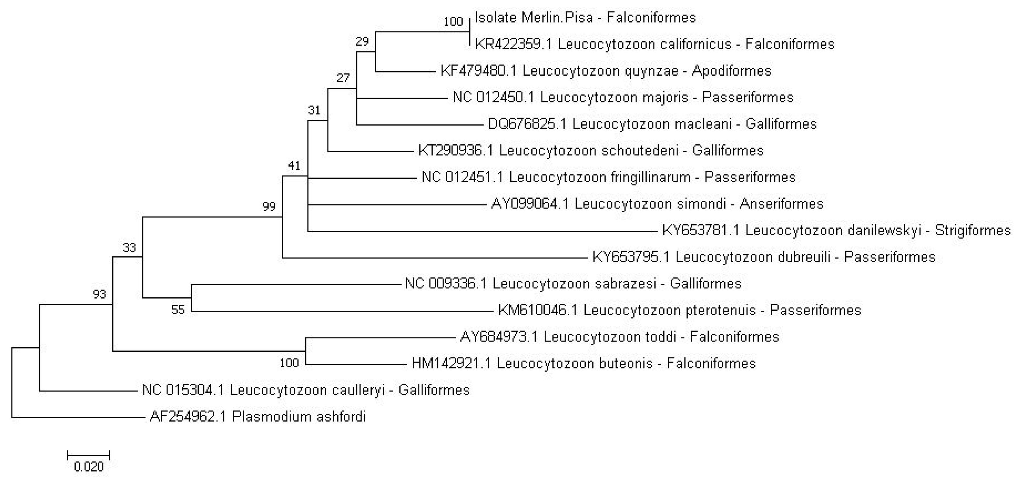 Pathogens 09 00263 g002