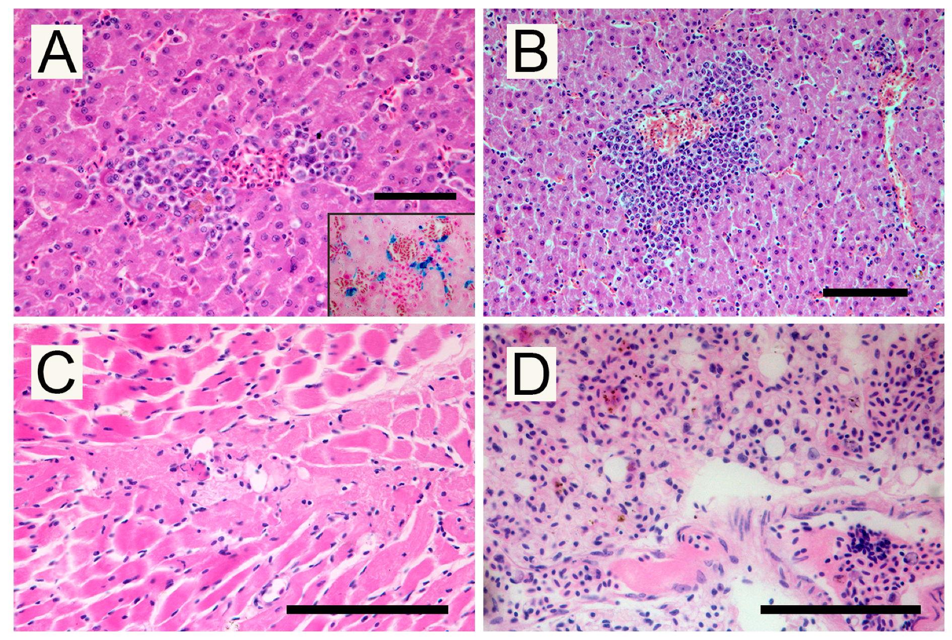 Pathogens 09 00263 g003