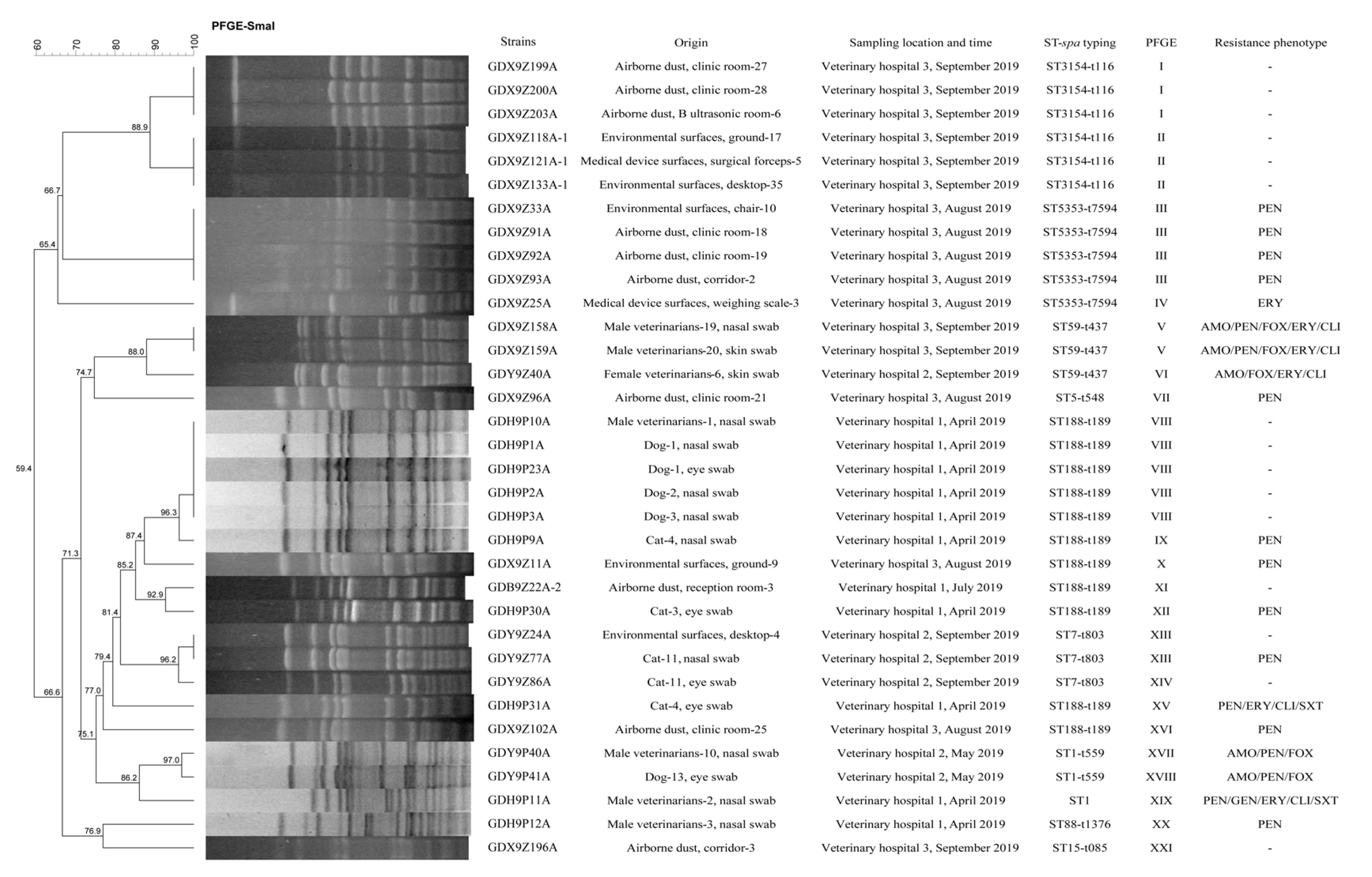 Pathogens 09 00264 g002