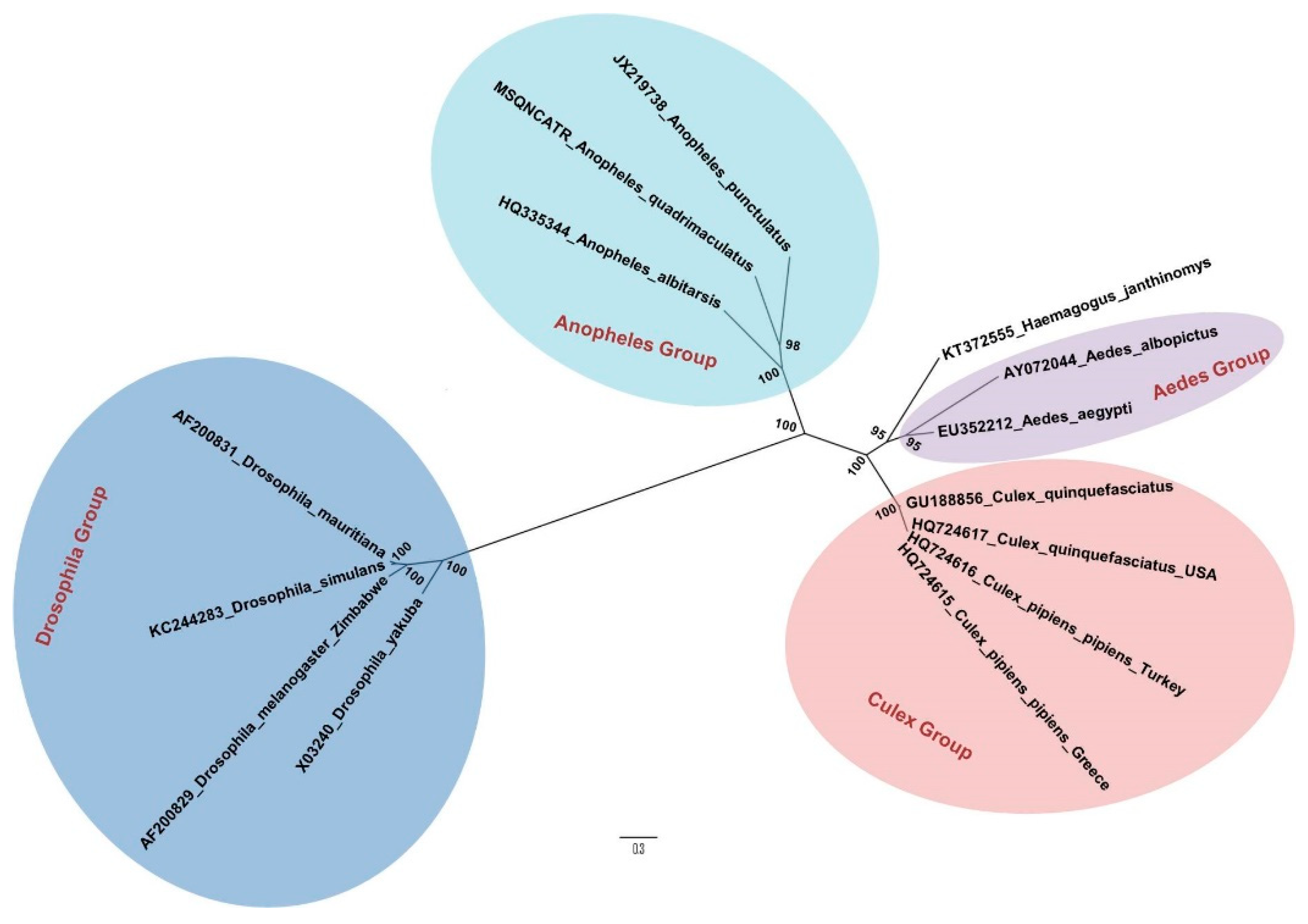 Pathogens 09 00265 g001 Pathogens 09 00265 g001