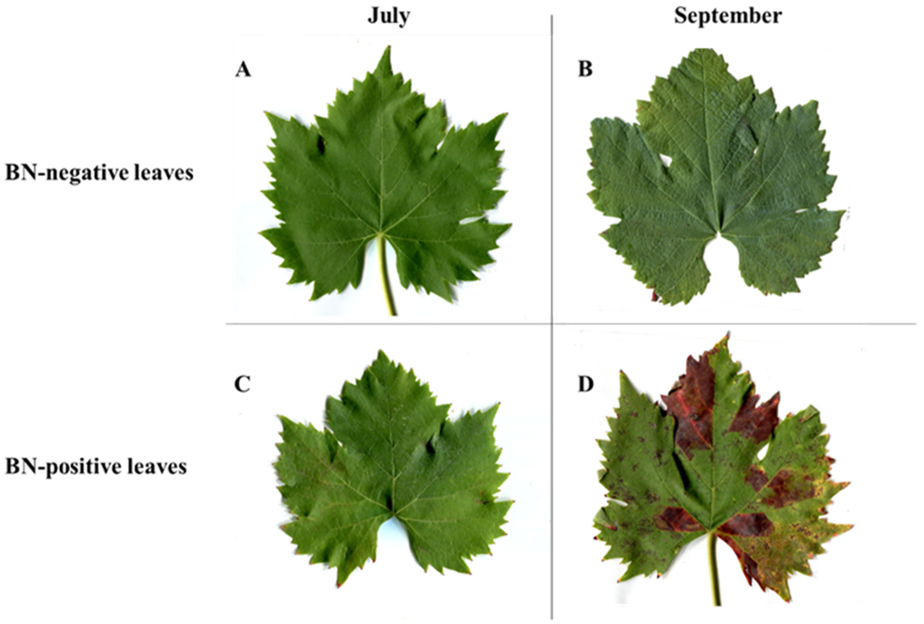 Pathogens 09 00269 g001 Pathogens 09 00269 g001