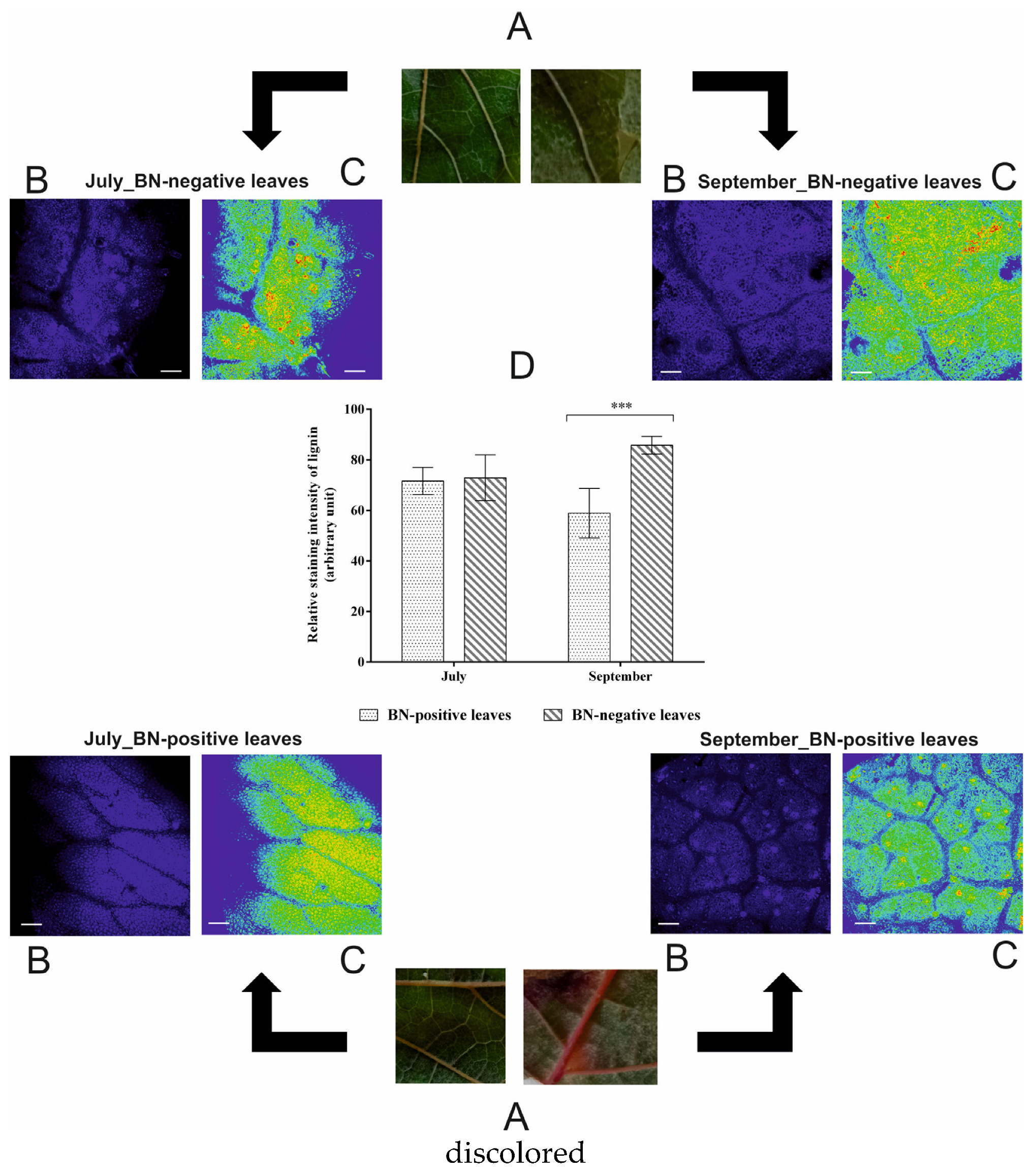 Pathogens 09 00269 g005 Pathogens 09 00269 g005