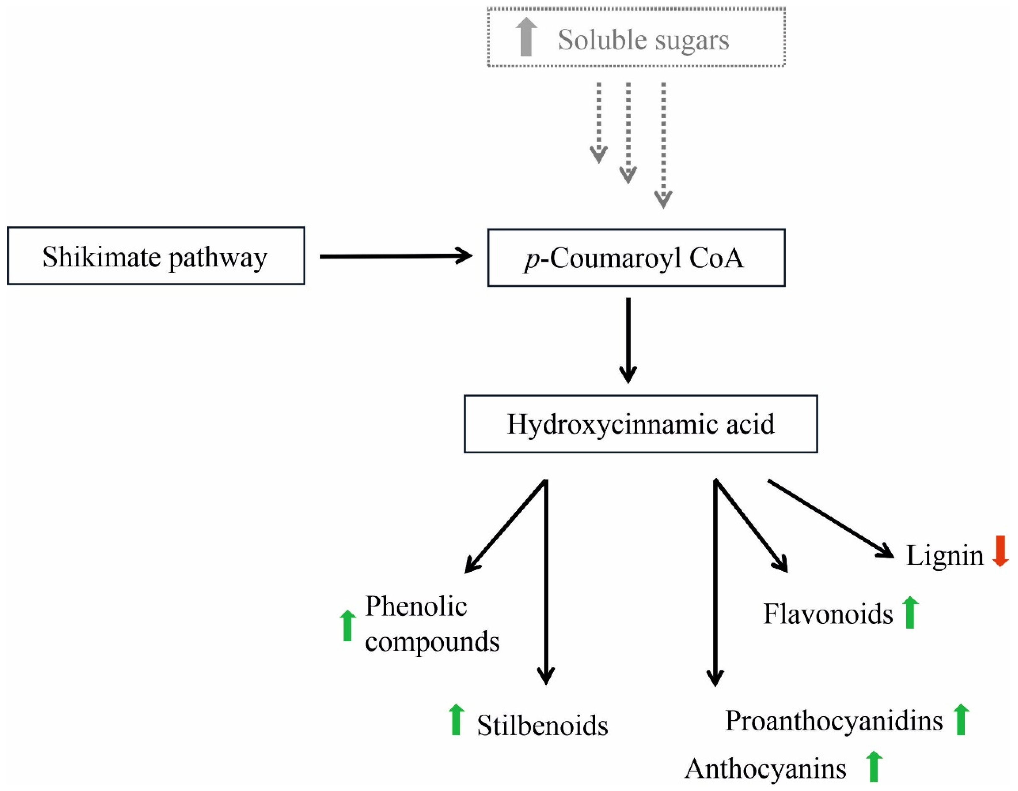 Pathogens 09 00269 g006 Pathogens 09 00269 g006