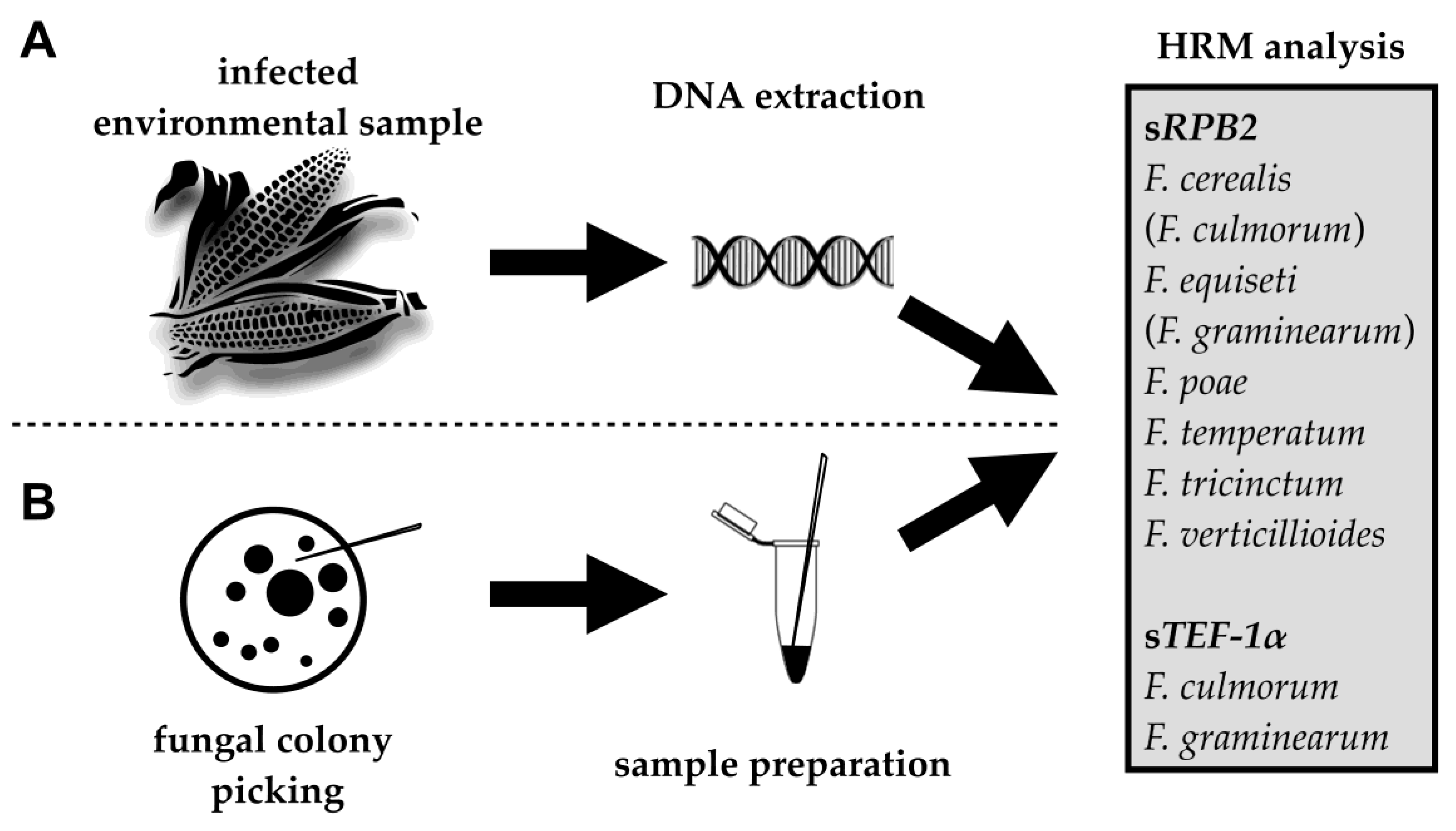 Pathogens 09 00270 g001