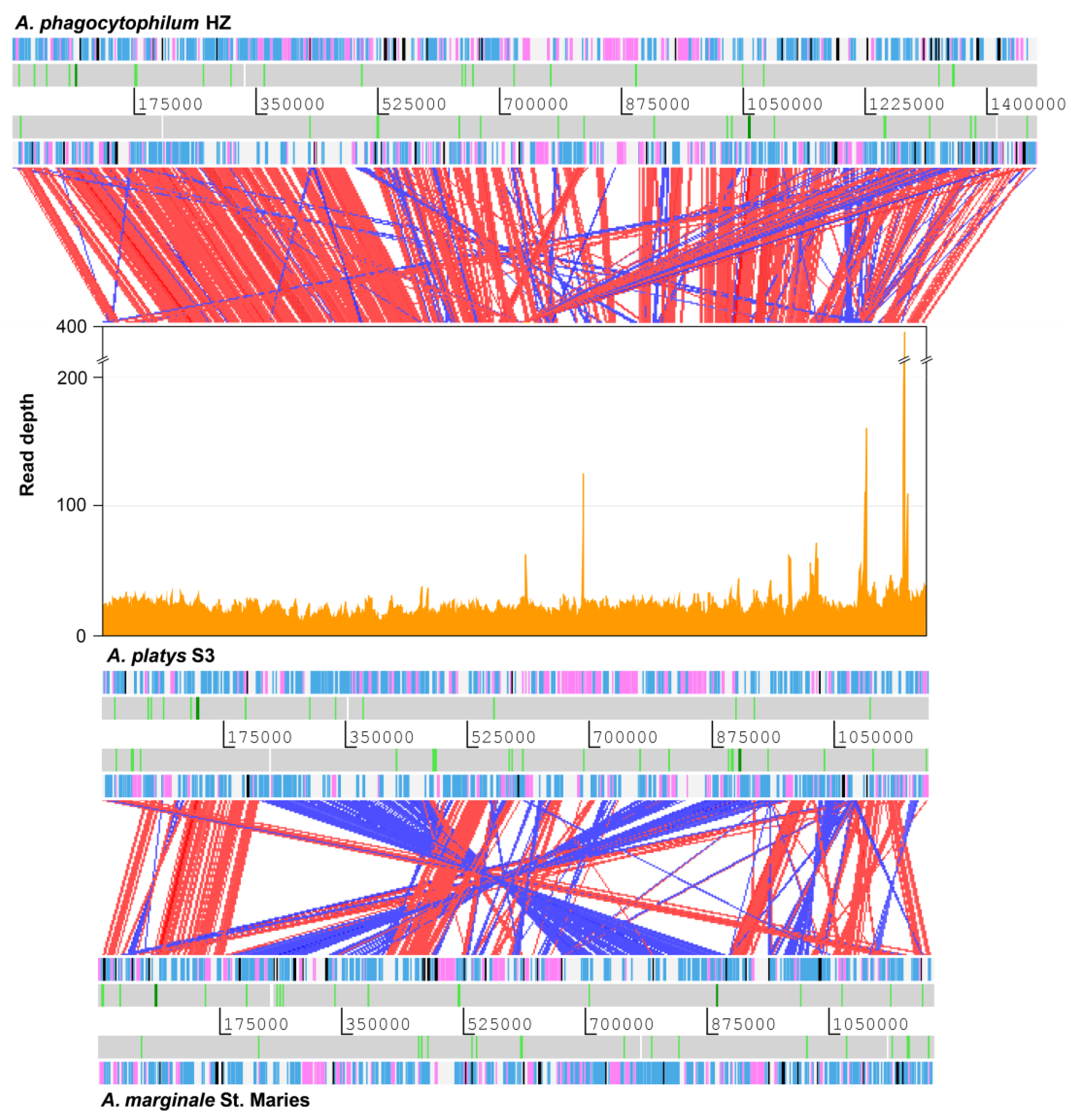 Pathogens 09 00277 g001
