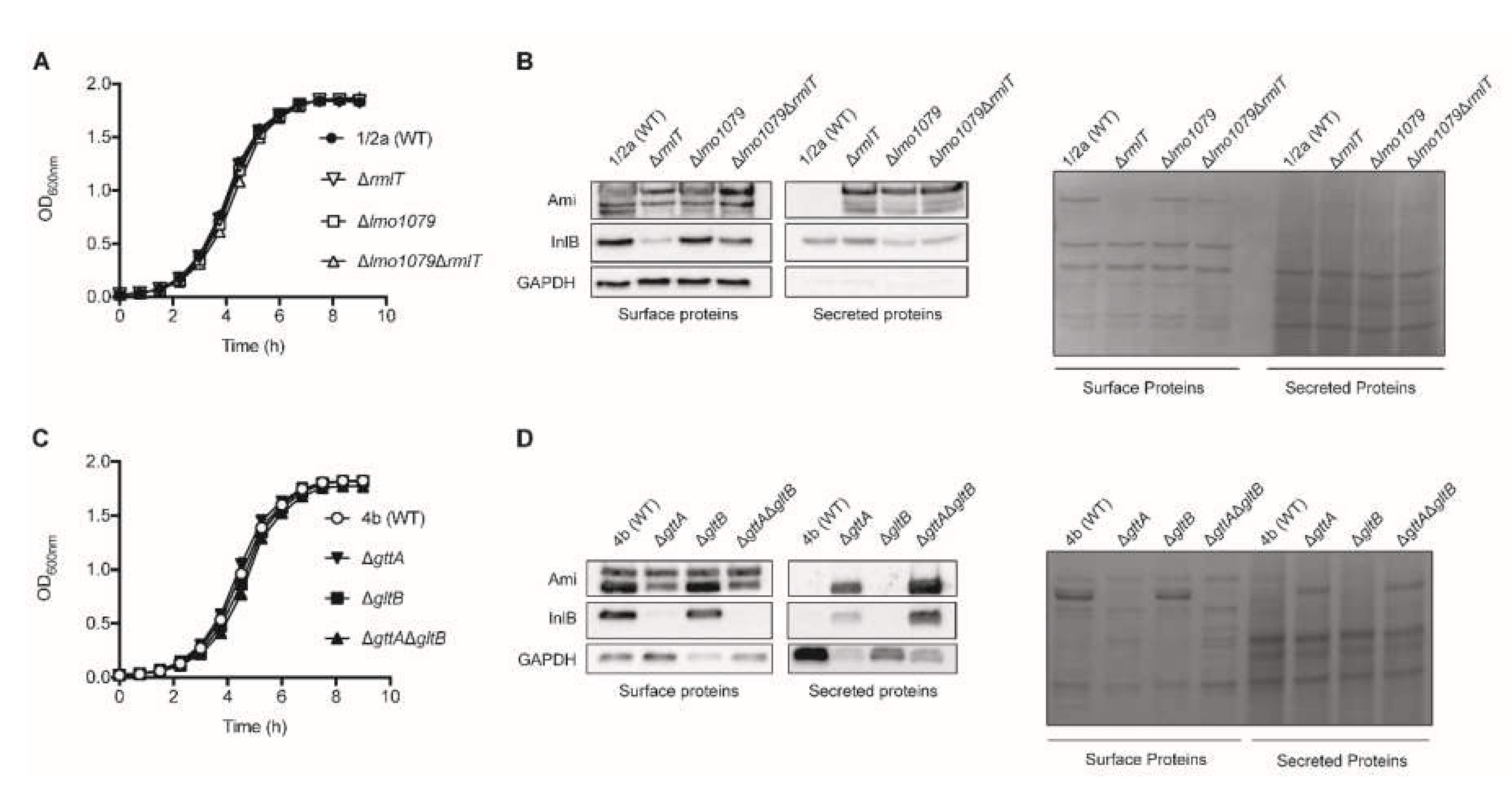 Pathogens 09 00290 g001