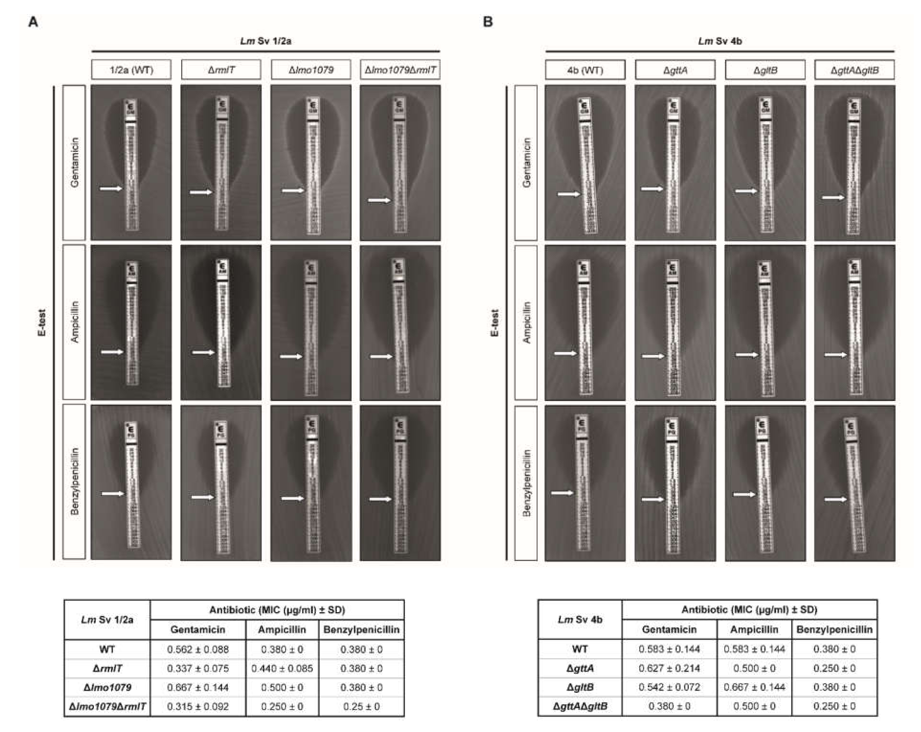 Pathogens 09 00290 g003