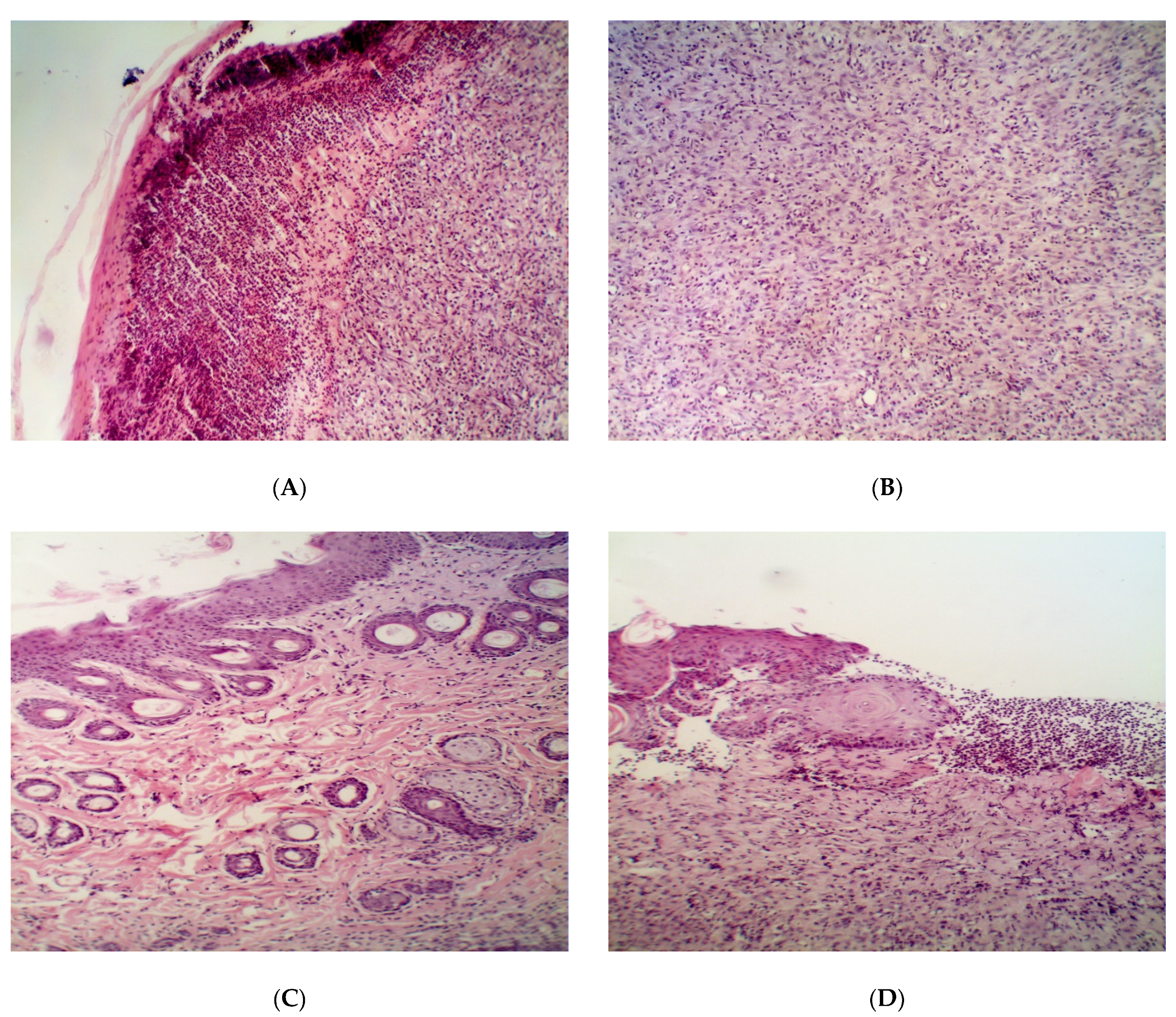 Pathogens 09 00296 g007a