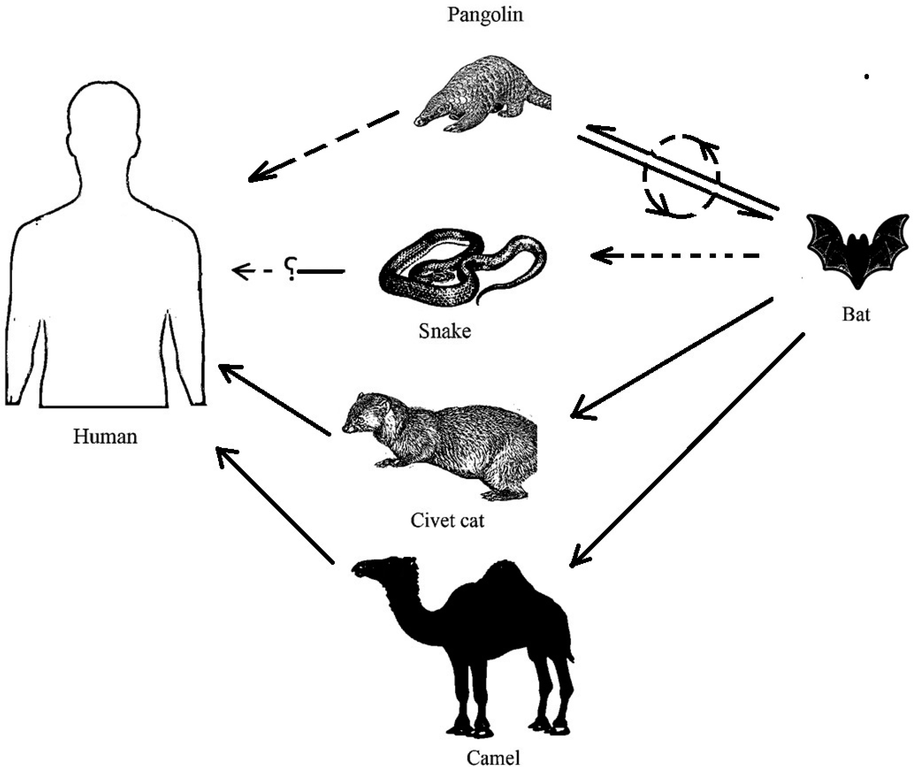 Pathogens 09 00307 g001 Pathogens 09 00307 g001