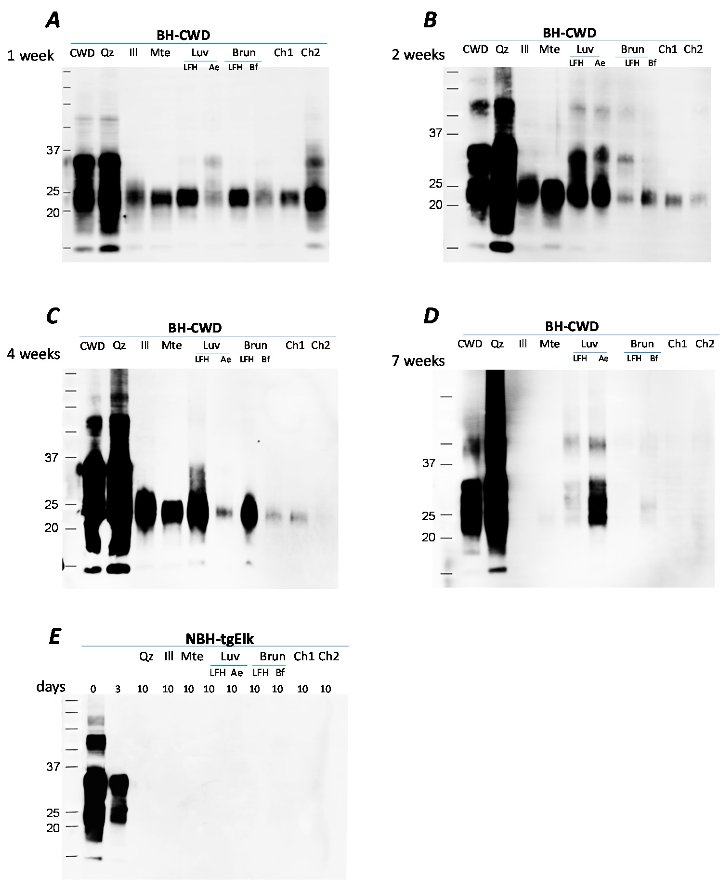 Pathogens 09 00311 g001 Pathogens 09 00311 g001