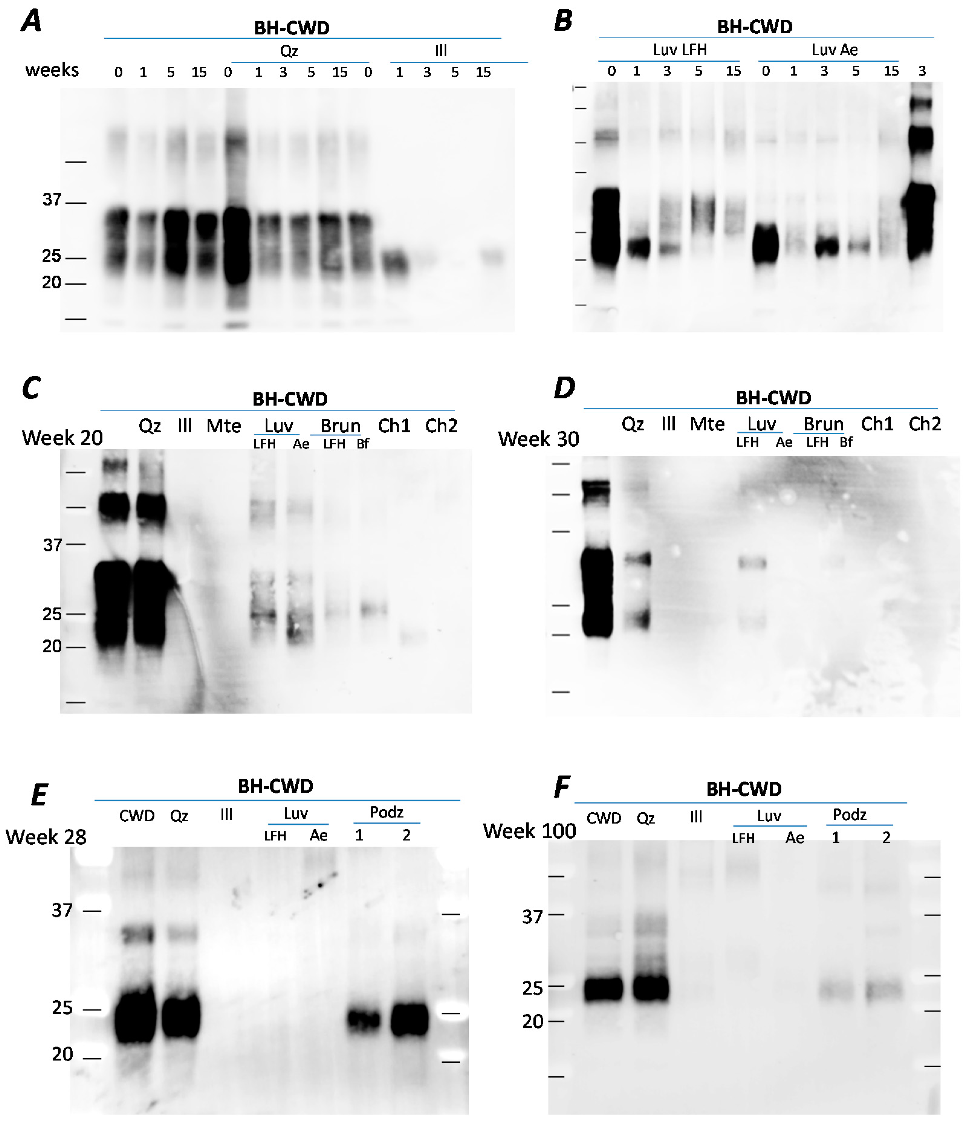 Pathogens 09 00311 g002 Pathogens 09 00311 g002