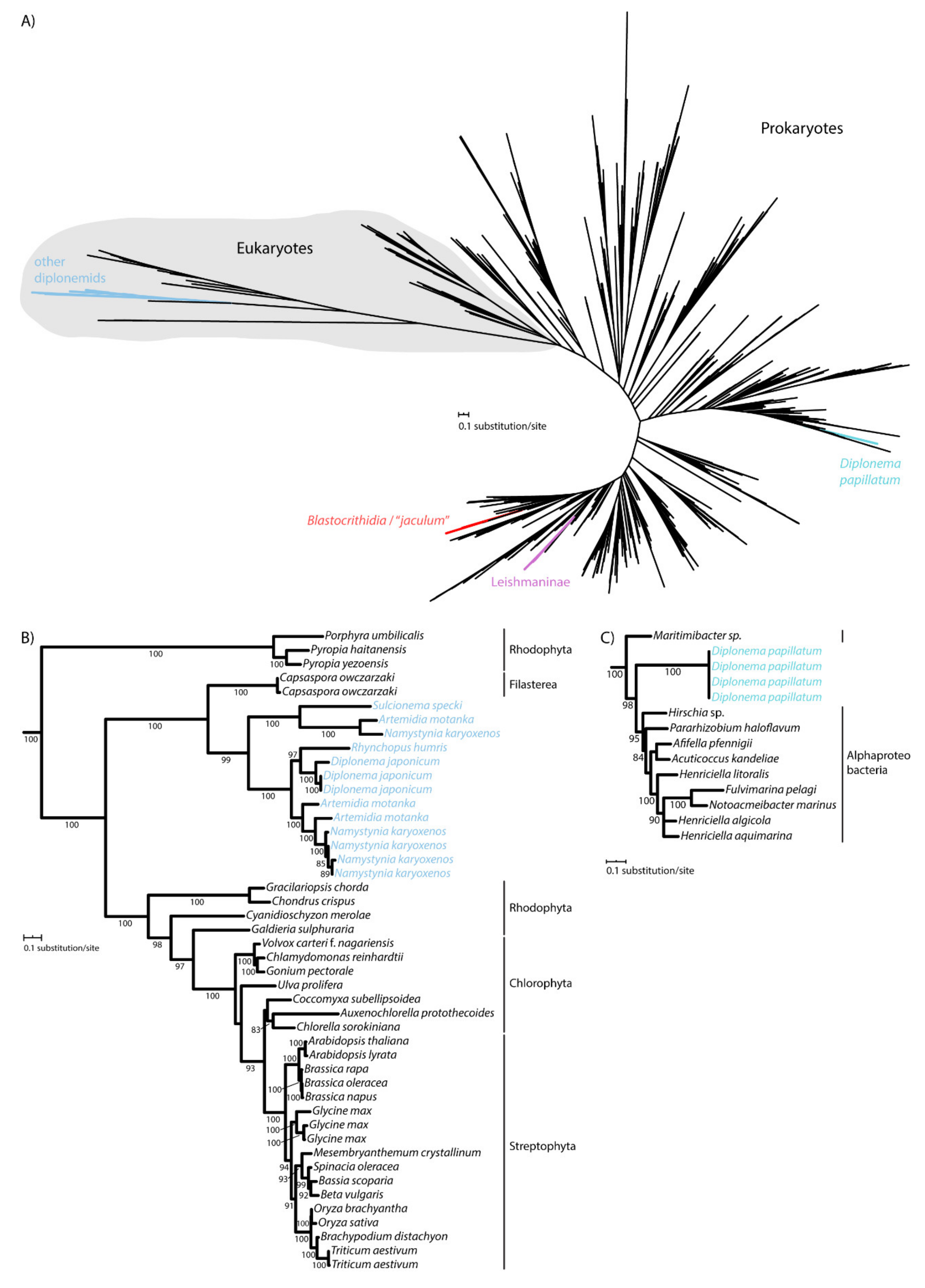 Pathogens 09 00317 g002 Pathogens 09 00317 g002