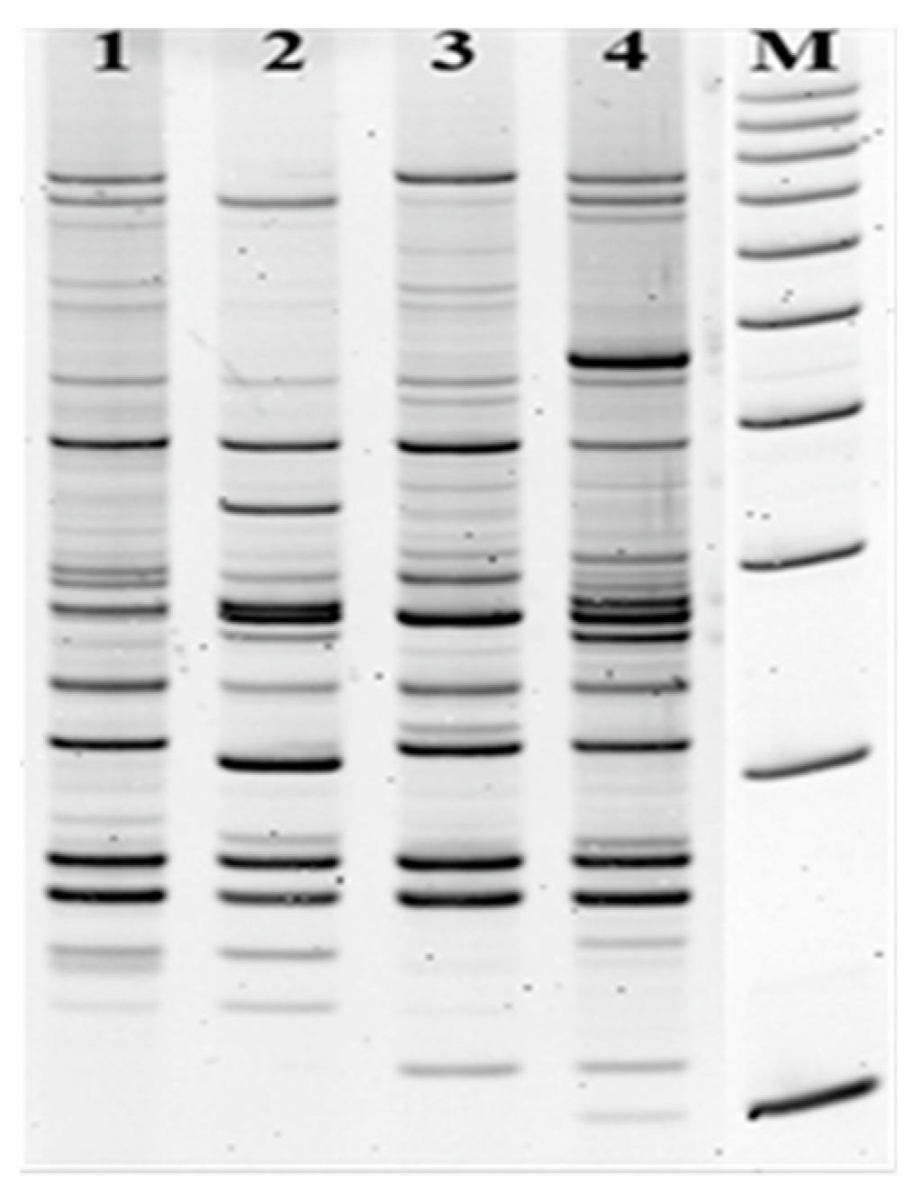 Pathogens 09 00318 g001