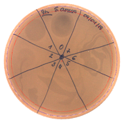 Pathogens 09 00319 i001