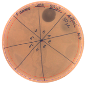 Pathogens 09 00319 i002