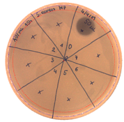 Pathogens 09 00319 i003