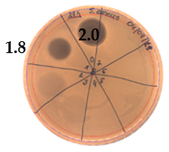 Pathogens 09 00319 i006