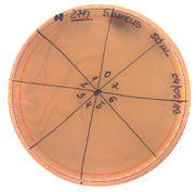 Pathogens 09 00319 i008