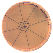Pathogens 09 00319 i009