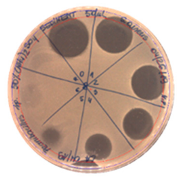 Pathogens 09 00319 i014