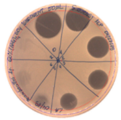 Pathogens 09 00319 i016