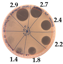 Pathogens 09 00319 i017