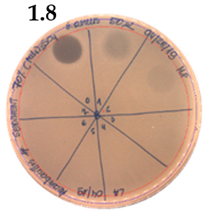 Pathogens 09 00319 i019