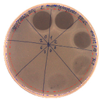 Pathogens 09 00319 i020