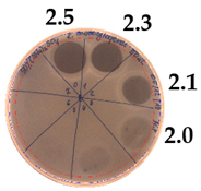 Pathogens 09 00319 i022
