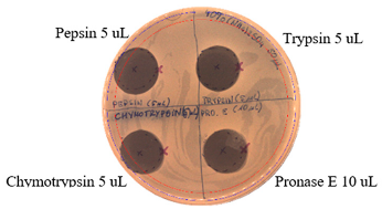 Pathogens 09 00319 i024