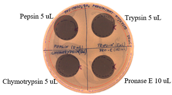 Pathogens 09 00319 i025