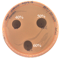 Pathogens 09 00319 i029