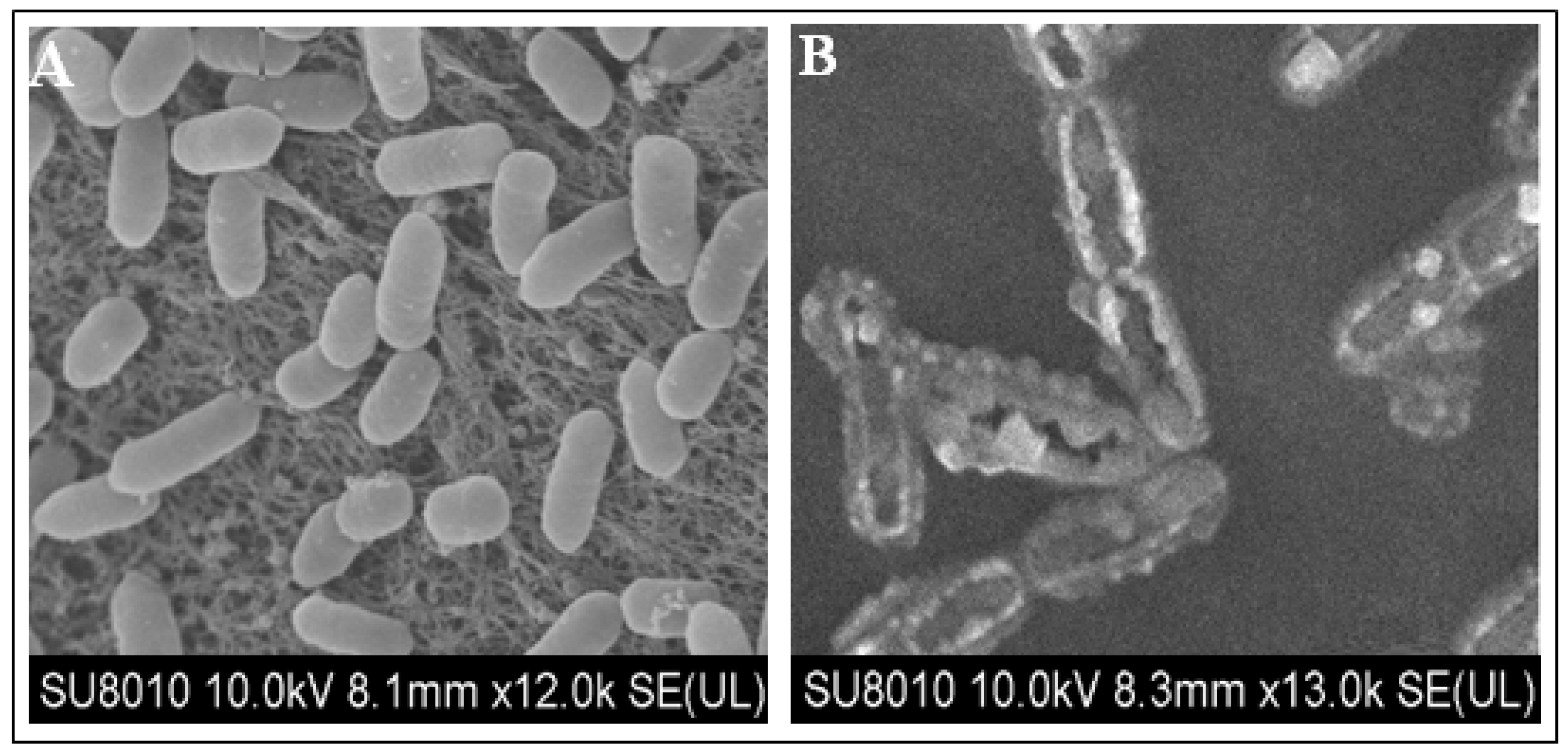 Pathogens 09 00327 g003