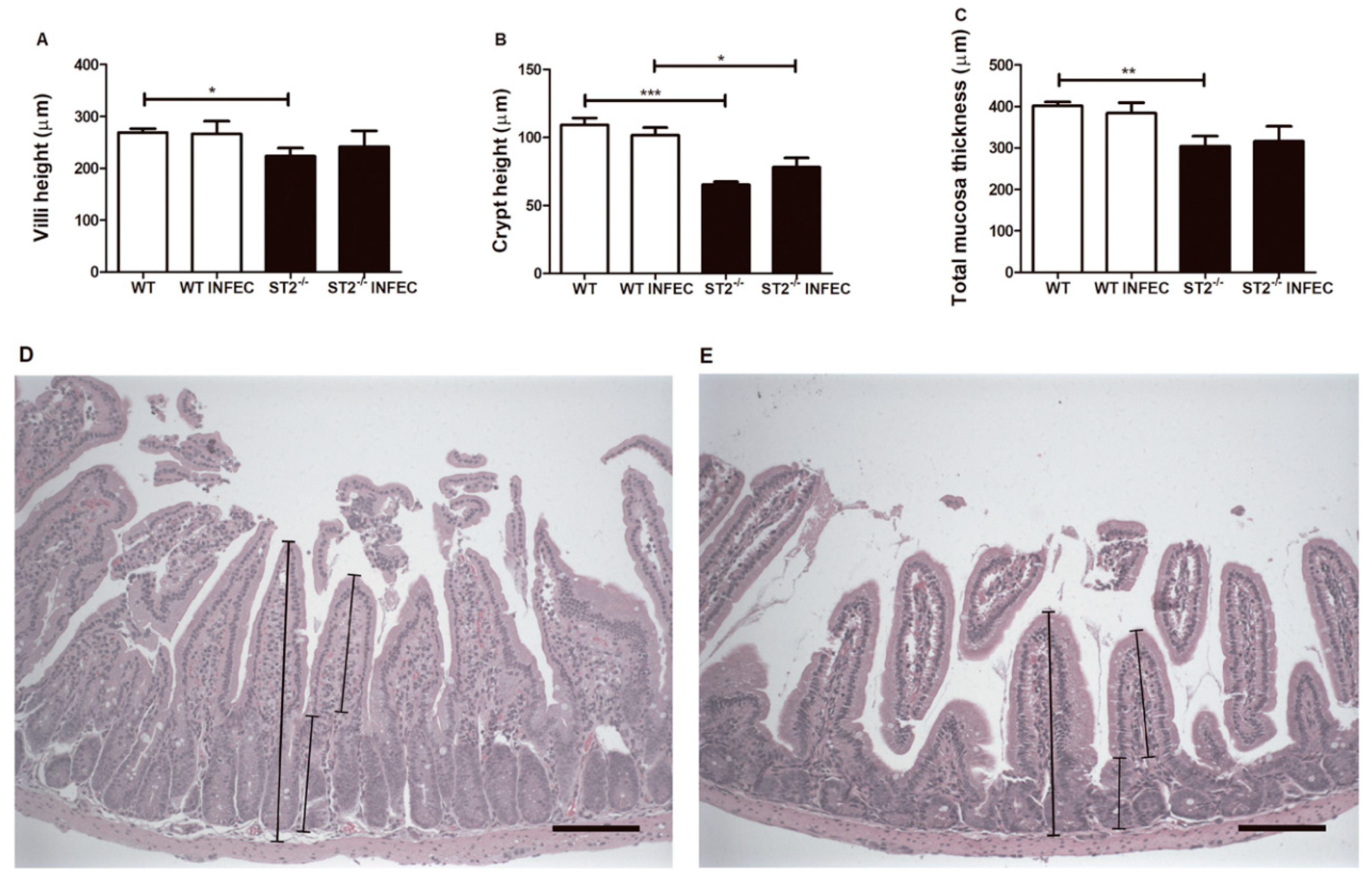 Pathogens 09 00328 g002