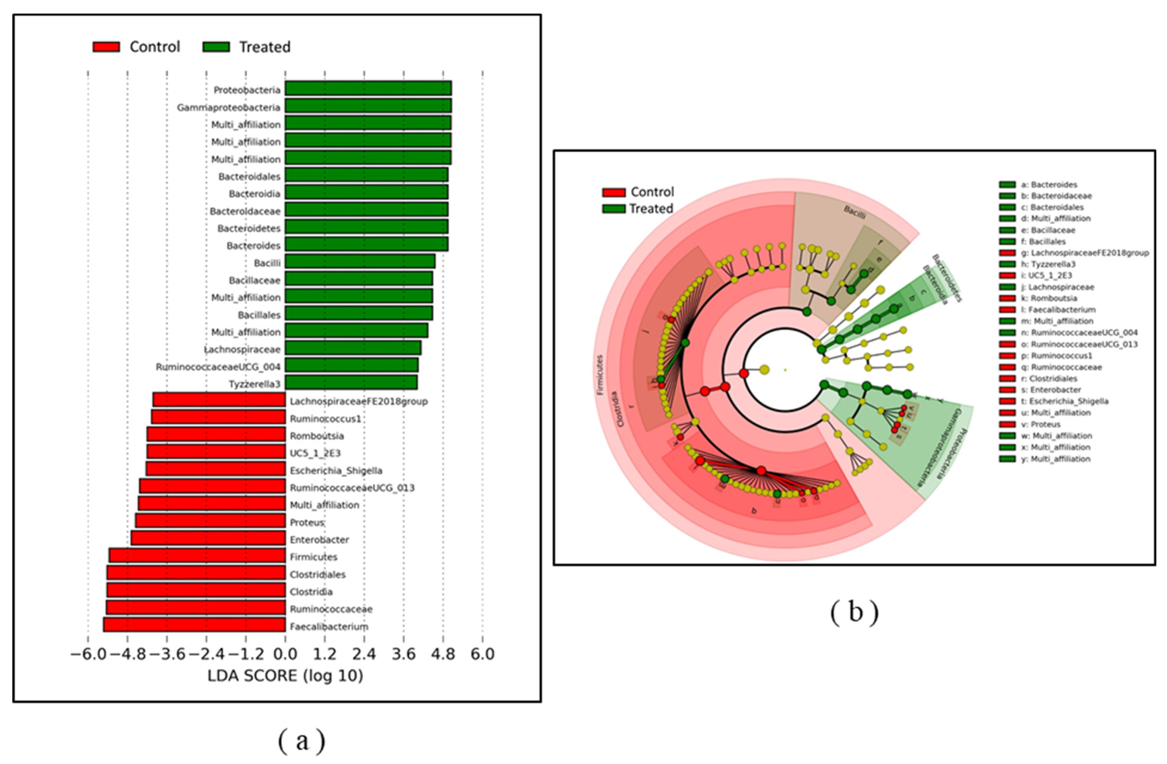 Pathogens 09 00333 g006