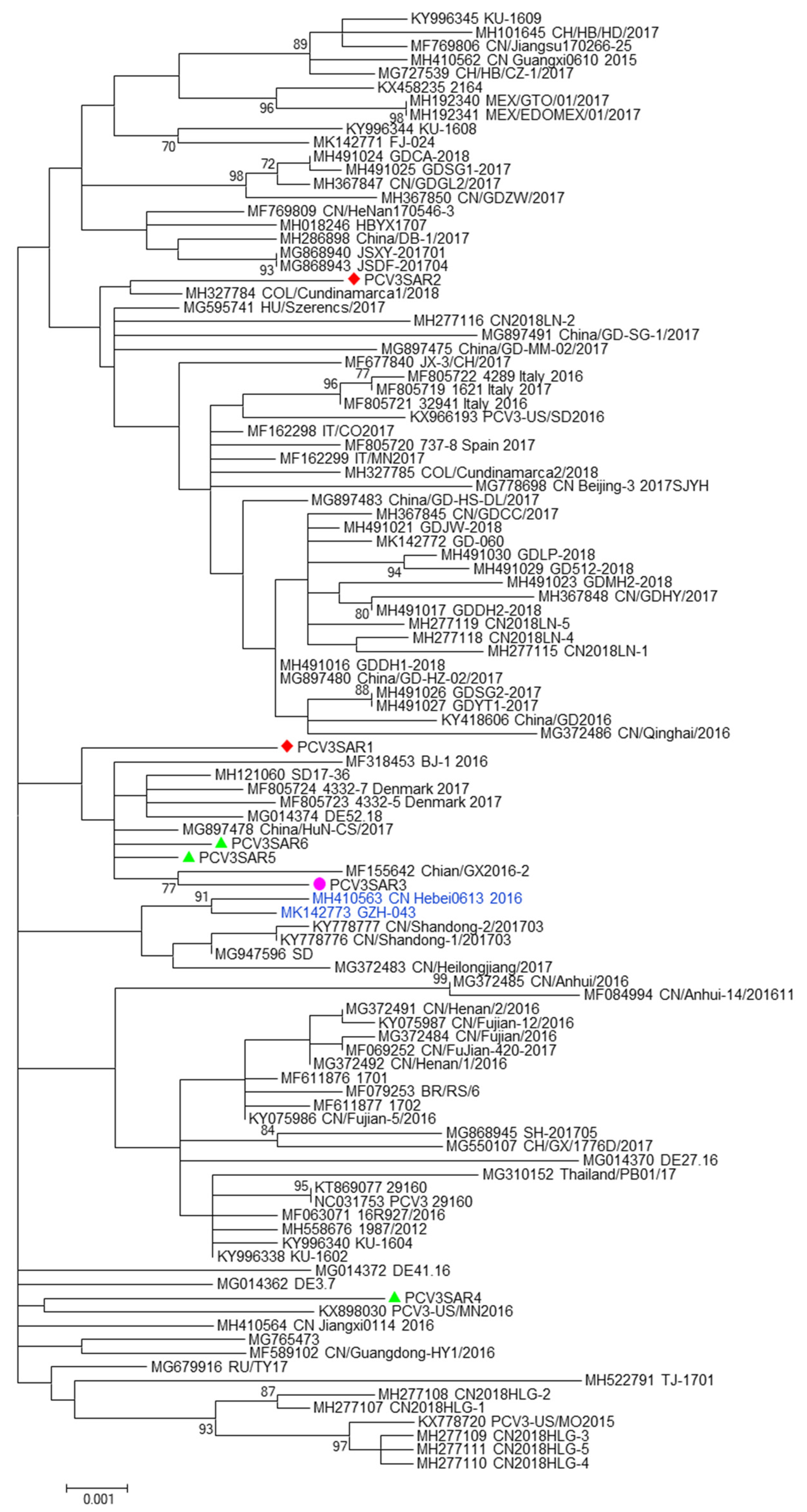 Pathogens 09 00344 g001