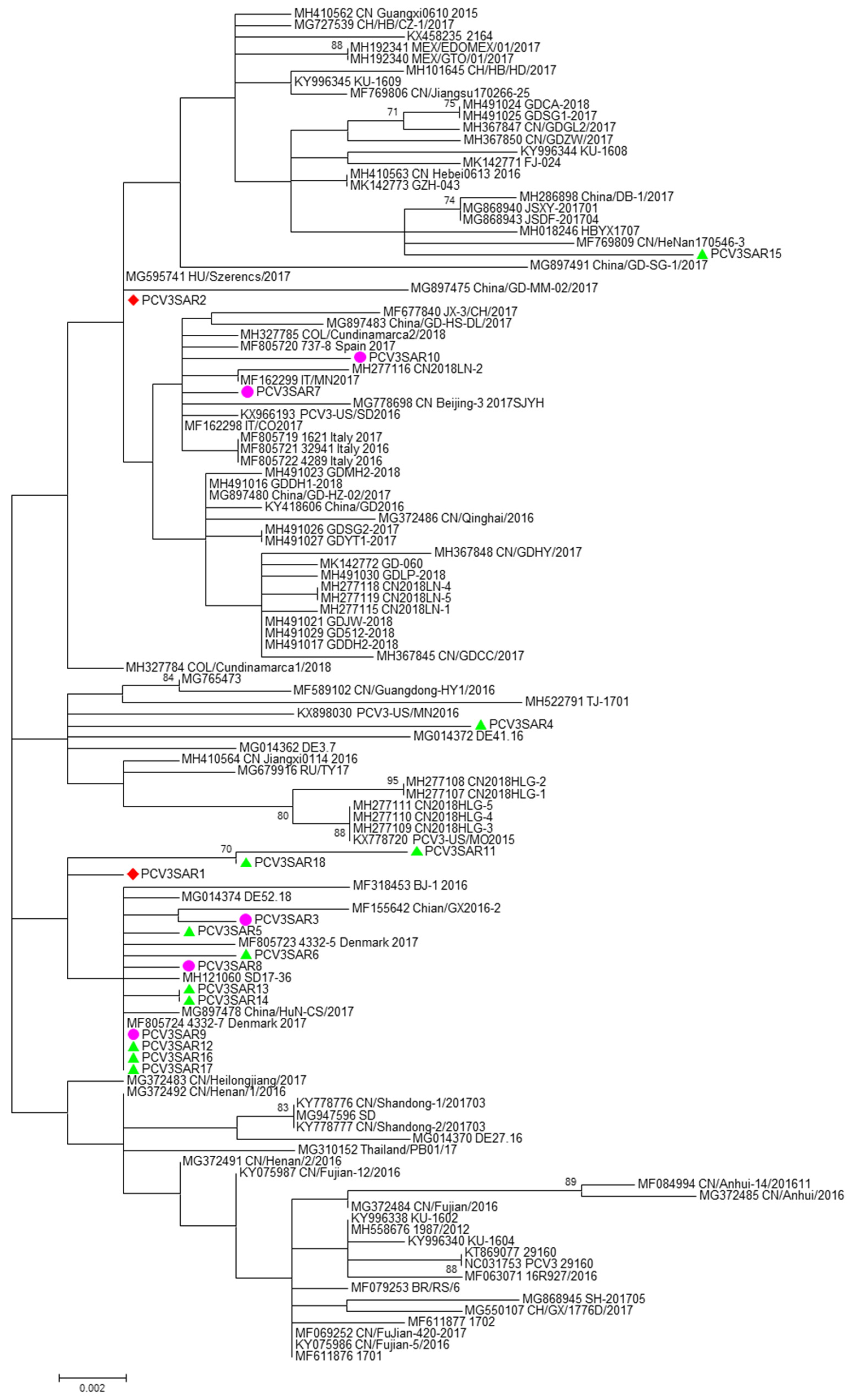 Pathogens 09 00344 g002